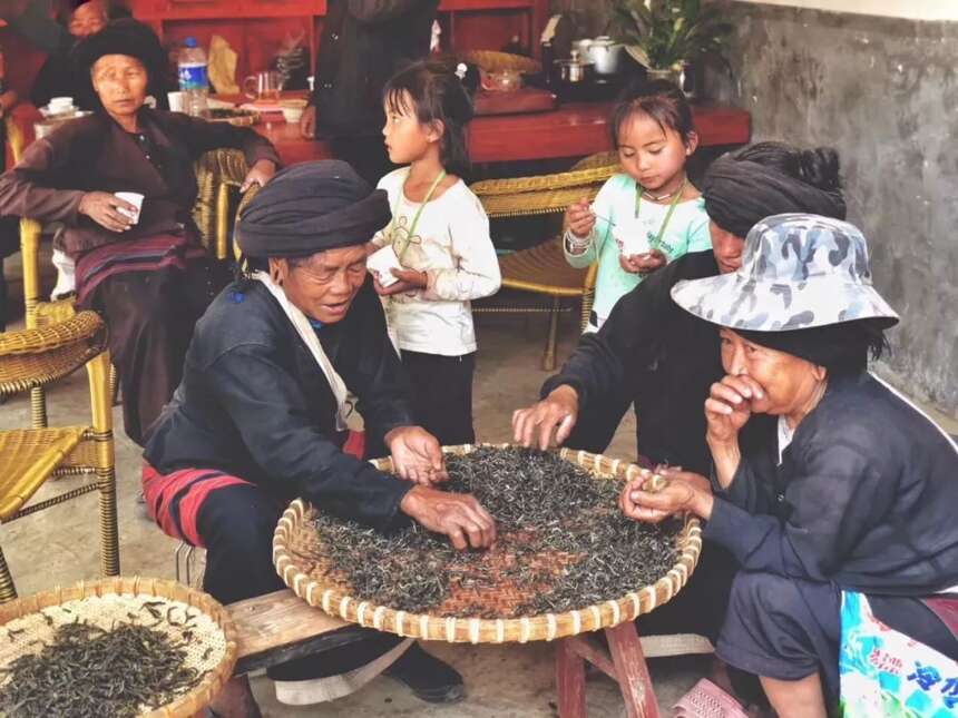 经典再出发：茶业复兴勐海游学第二季开始招募！