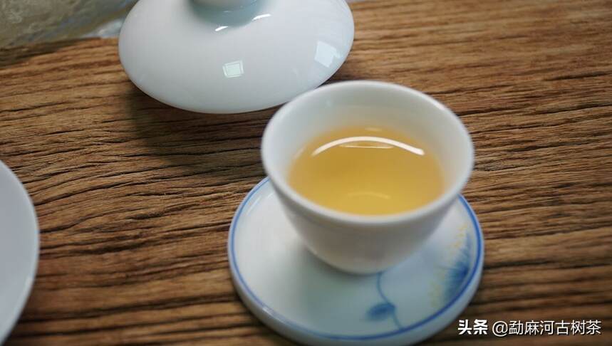 茶友“笨笨”品饮勐麻河一寸心·丹龙珠：适合心静时独饮的茶