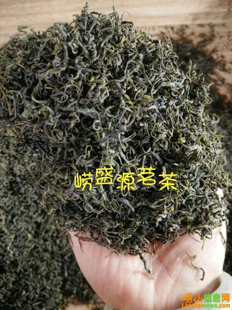 选购青岛崂山茶攻略：买正宗崂山绿茶 必须去原产地 价格低 口感好！