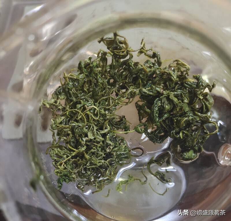 建议用75度至85度纯净水冲泡崂山绿茶