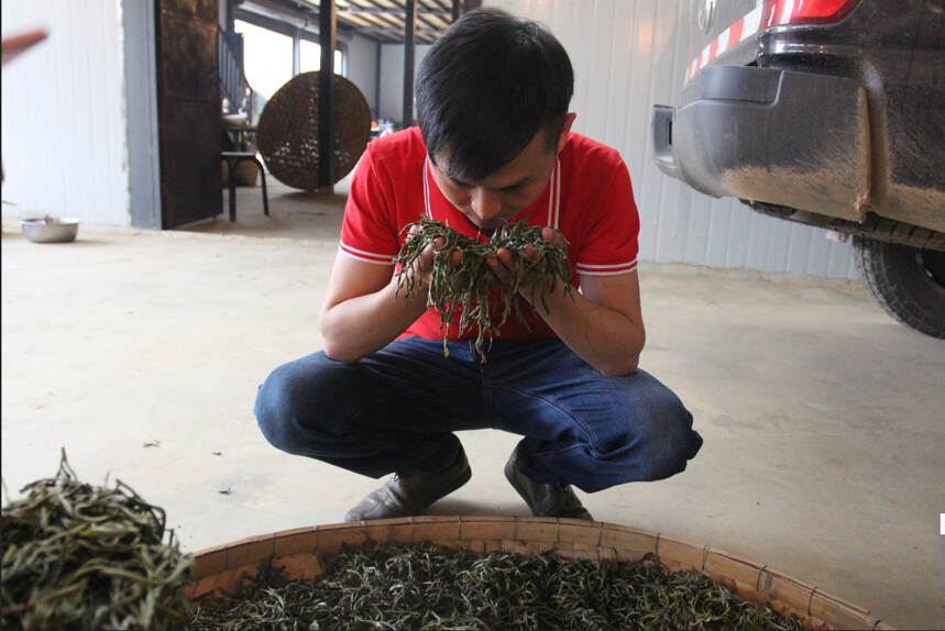 怎么从农民工到普洱茶知名企业，陈玉龙先生的创业经历