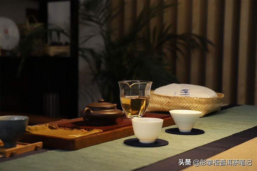 勐麻河蜜糖香古树茶，“喝这个茶不想工作，就想躺平”是为何？