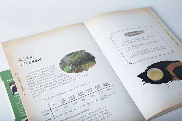 《普洱帝国》用脚步丈量，用专业描绘的茶书