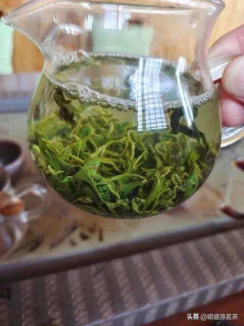 崂山绿茶用什么茶具冲泡最好？冲泡方法详解