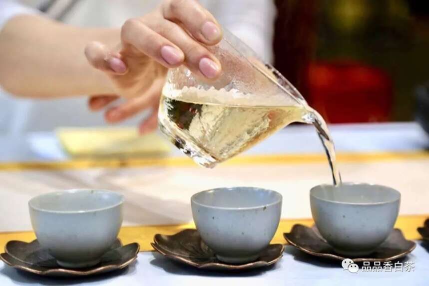 老白茶的陈香，到底是什么香？