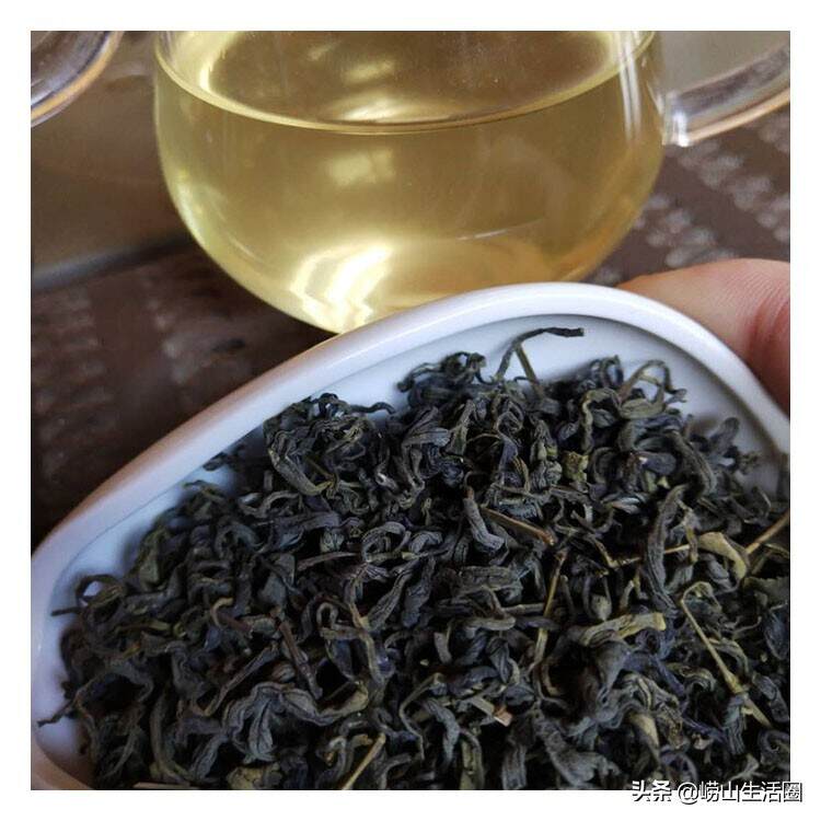 秋季的崂山绿茶可以作为口粮茶储存