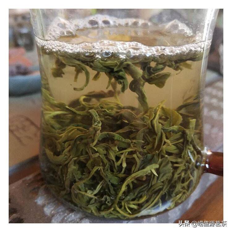 秋季的崂山绿茶赶紧泡上一壶尝尝鲜吧