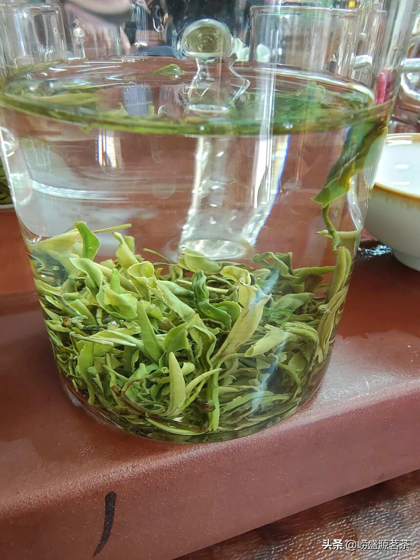 崂山绿茶真的那么好喝吗？
