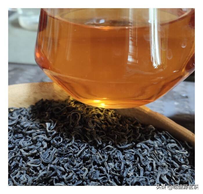 为什么秋季崂山红茶被选为口粮茶？