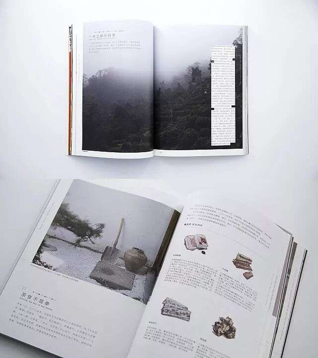《中国茶的基本》，一本书了解中国茶的基本知识