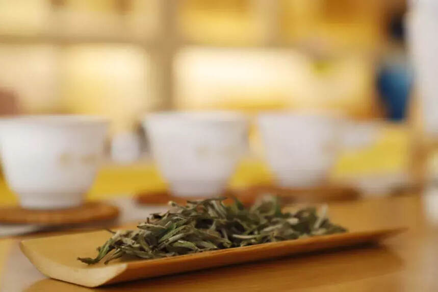 夏季喝白茶养生，要注意什么？