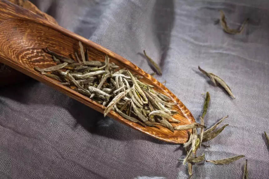 喜讯！鼎白银针在全国茶叶品质评价再获“五星”名茶品质标准