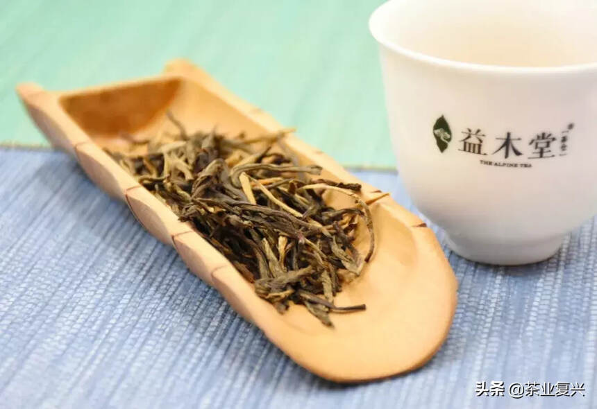 天津人喜欢喝什么茶？