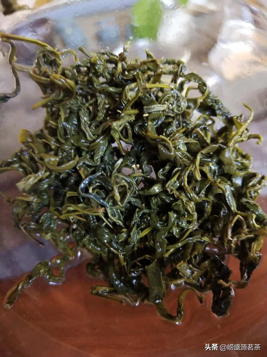 豌豆香味就是崂山绿茶的标志