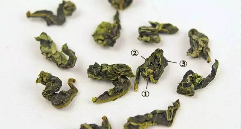 秋茶上市了，如何挑选高品质的铁观音呢？