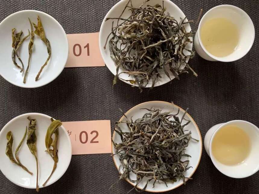 江湖实战高手是如何区分普洱茶大小树的？