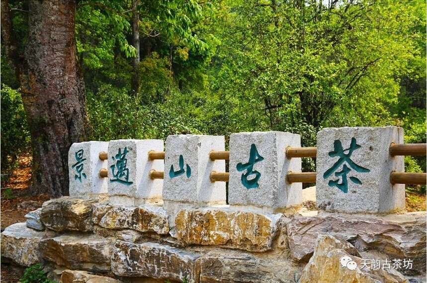 世界唯一一座以茶的名义申请世界非物质文化遗产的神山——景迈山