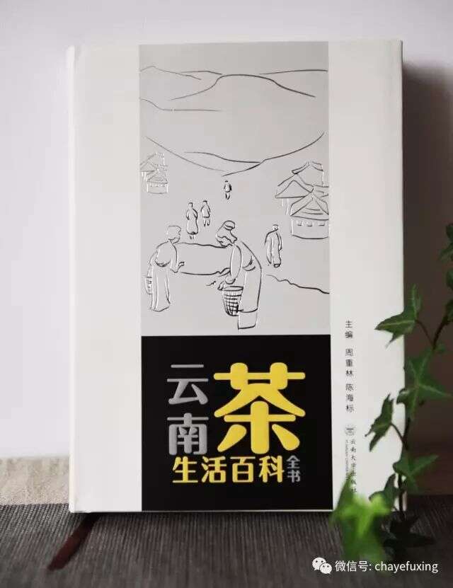 关于云南茶，这本书是基础