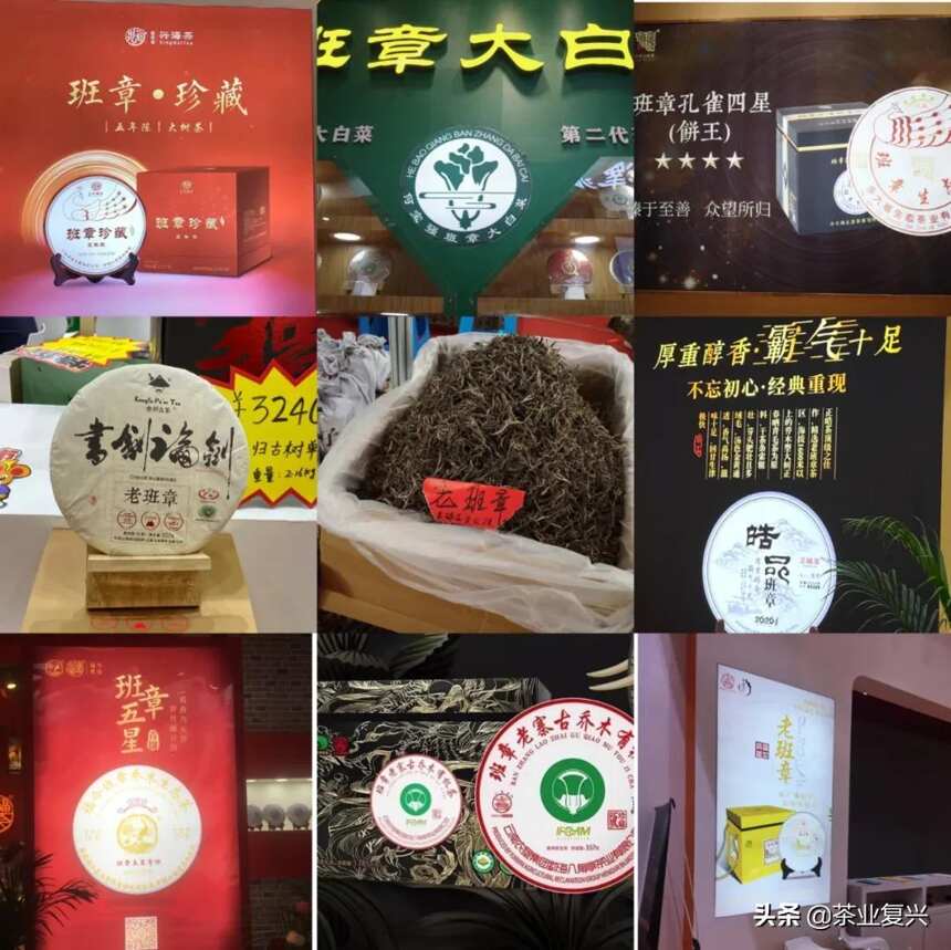 今年的广州茶博会你有什么新的发现？