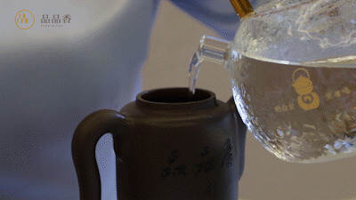 晒白金老白茶1641标准泡法，终于来啦