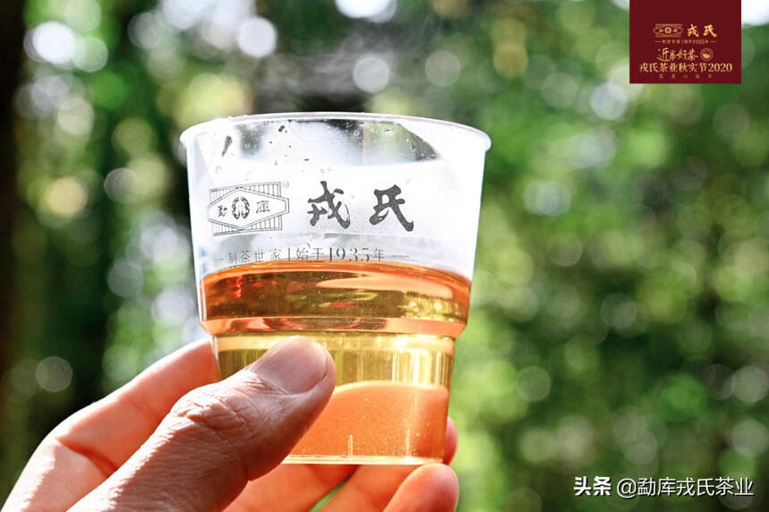 茶是心故乡|近享好茶·戎氏茶业“秋实”节 圆满落幕！