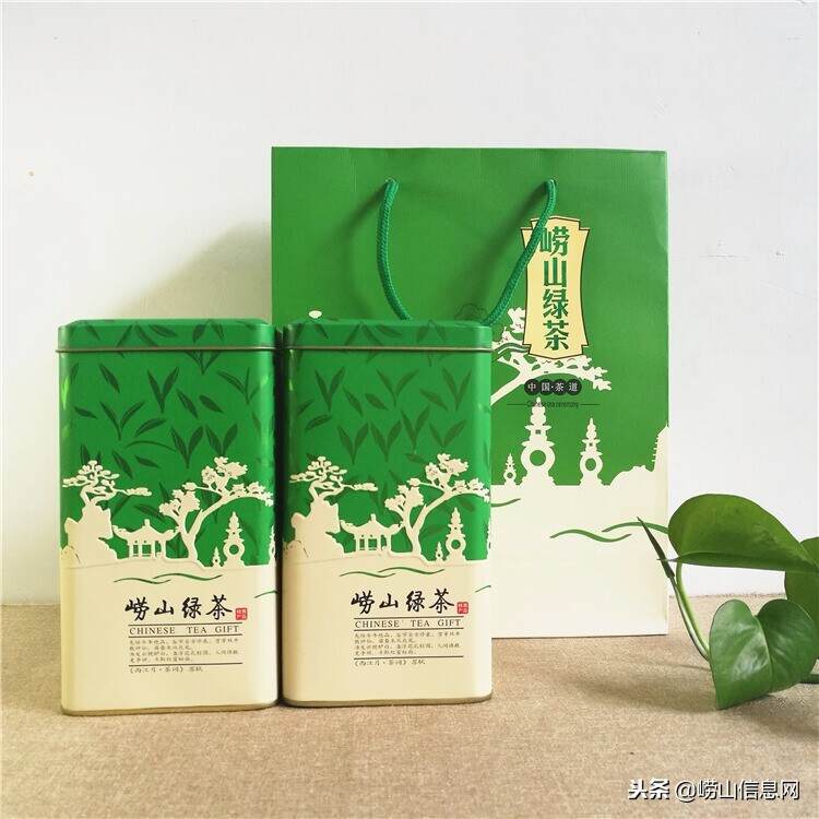 崂山绿茶种植基地崂山茶农专供系列