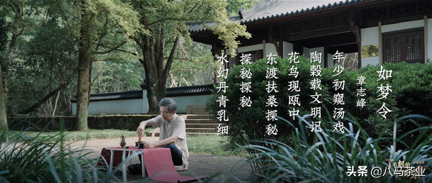 对话《梦华录》茶百戏技术指导章志峰，走进中国茶文化