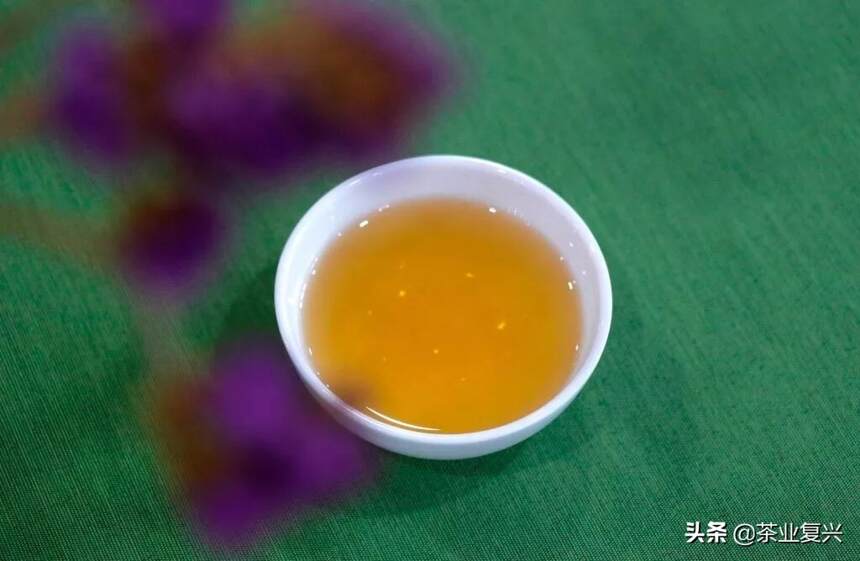 易武产区的茶为什么会成为普洱茶收藏的热门？