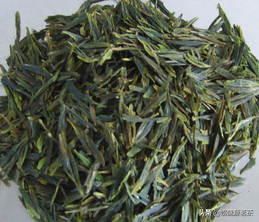 崂山绿茶种类分为卷曲形绿茶和扁形绿茶