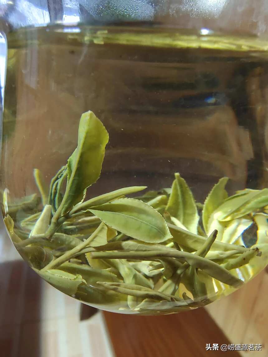 豌豆香味的崂山茶找原产地老茶农放心又好喝