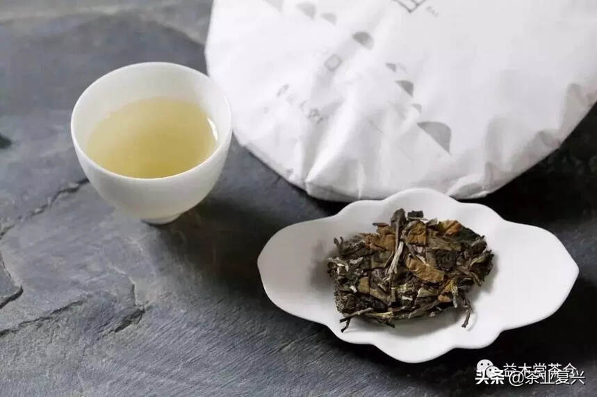 云南白茶到底是不是白茶？