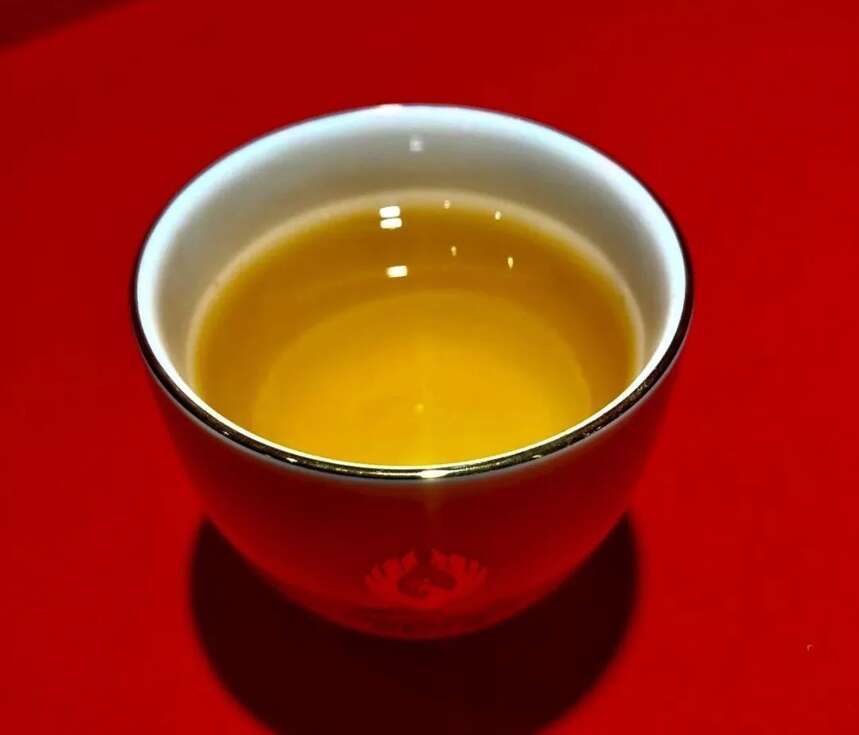 琅琊白 |源自1950米的高原古树白茶，是一种什么样的体验？