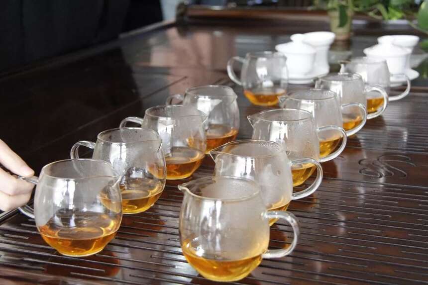 「品鉴会」普洱茶的“越陈越香”不止源于时间的雕琢
