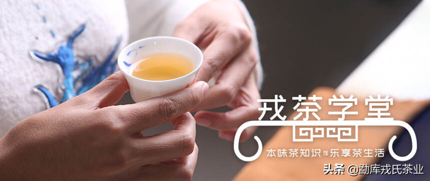 「戎茶学堂」换种说法讲，影响普洱茶味道的成因到底是什么？