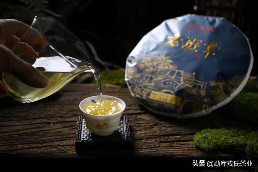 闻香羊城，勐库戎氏携重磅好茶即将登场广州茶博会