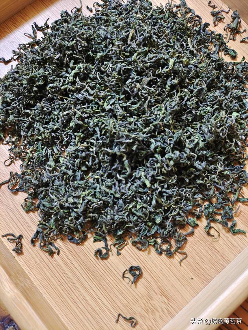 崂山王哥庄茶农自家种的崂山绿茶