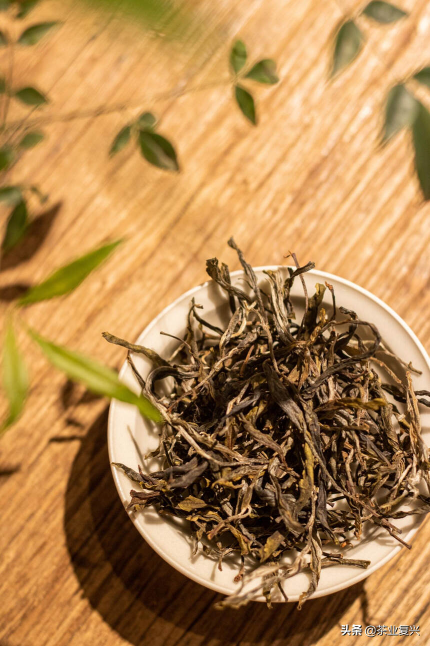 薄荷塘：茶行业的金字招牌