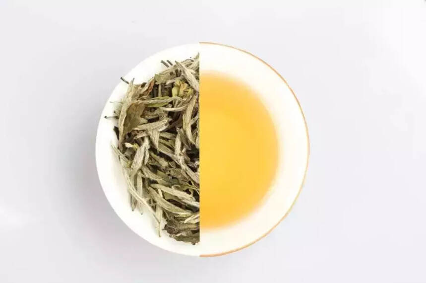 央视新闻里的白茶传奇，又双叒叕一次代表了福鼎白茶的标杆品质