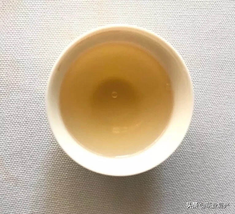 云南白茶与福建白茶哪个更好喝？