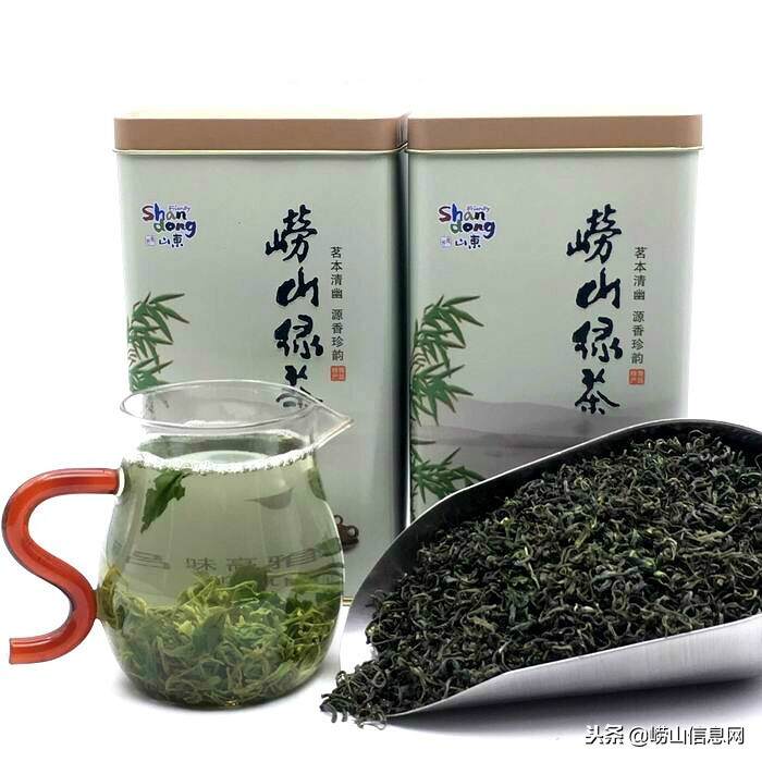 崂山绿茶种植基地崂山茶农专供系列