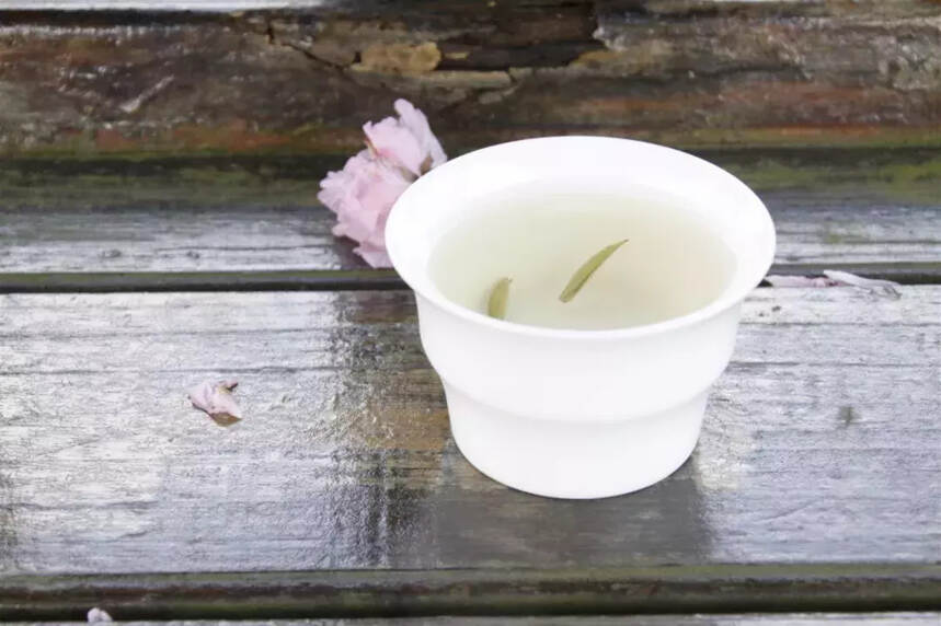 初夏，如何喝白茶除湿气？