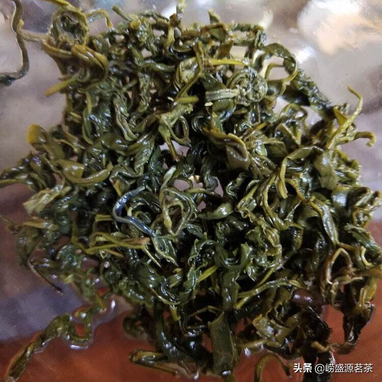 秋末的崂山绿茶 豌豆香味浓郁更耐泡