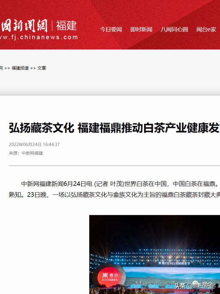 央视新闻、中国新闻网等五十多家媒体齐点赞鼎白首届藏茶节