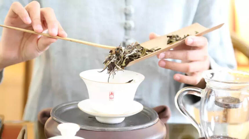 鼎白“茶仙子”的中国式雅致生活