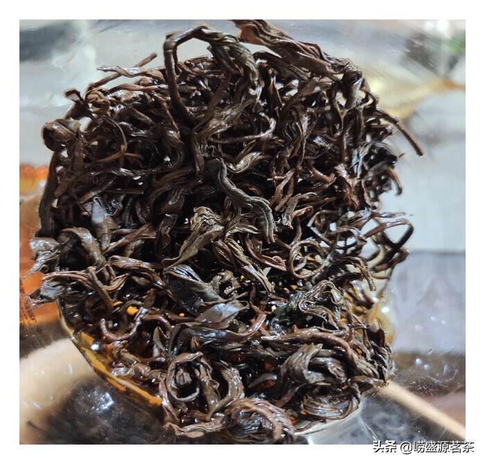 为什么秋季崂山红茶被选为口粮茶？