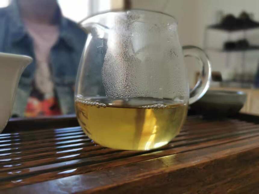 普洱茶茶评第22期：景迈古树