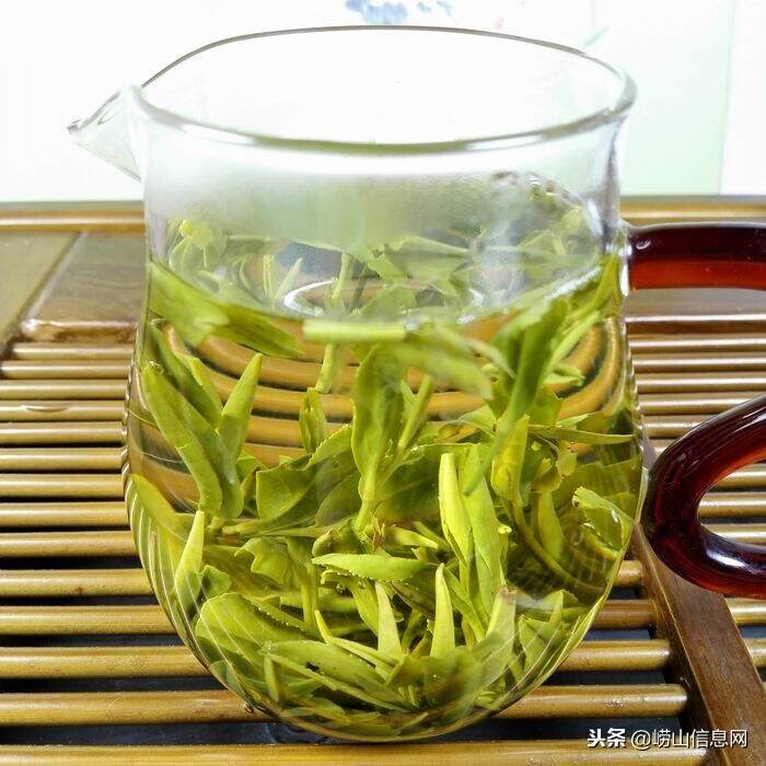 青岛崂山绿茶—春季系列—扁茶