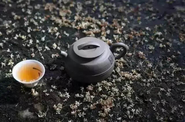 茶汤中的修行