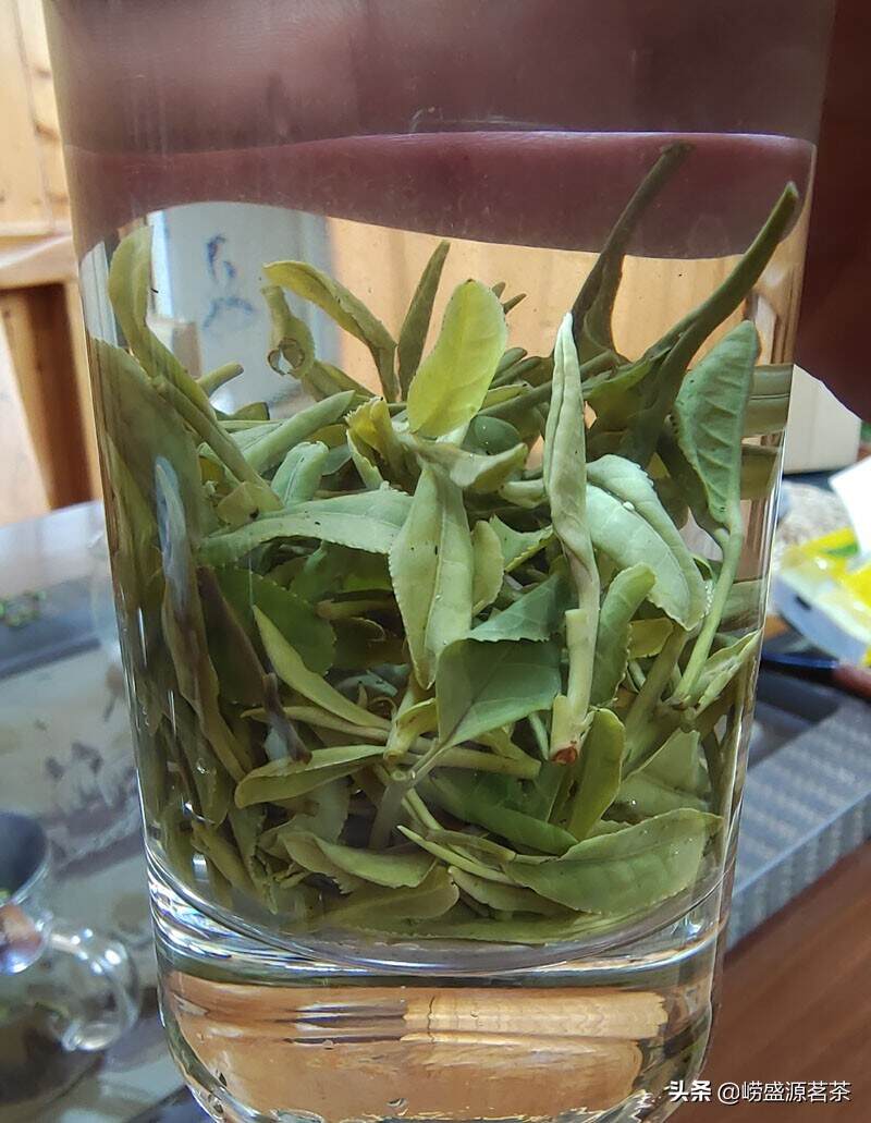 春季崂山绿茶的口感怎样呢？