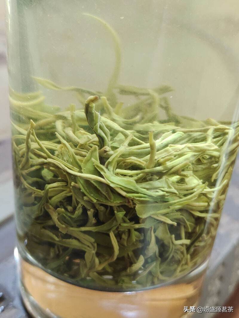 被称为青岛崂山三绝之首的—崂山茶